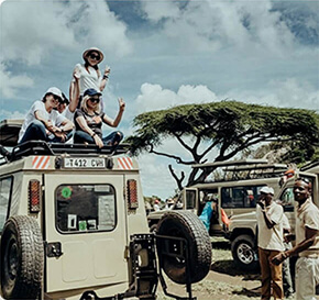 safari