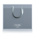 Paper bag Experalta Platinum